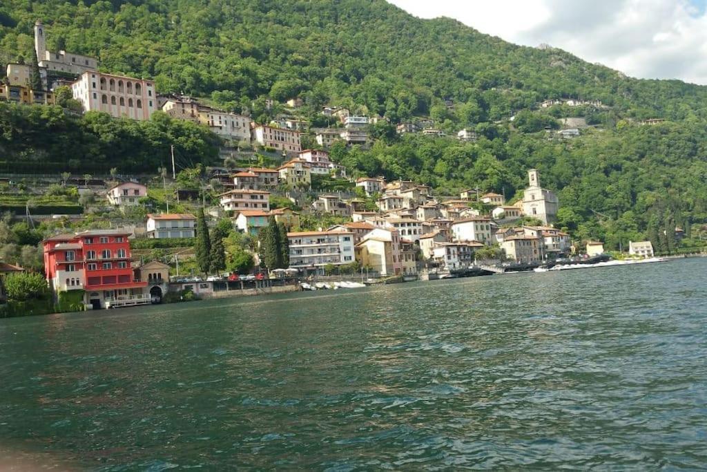 Casa Orchidea Daire Oria  Dış mekan fotoğraf